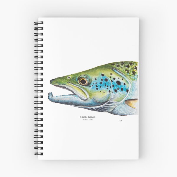 Item preview, Atlantic Salmon Head Painting designed and sold by Stephen Emms.