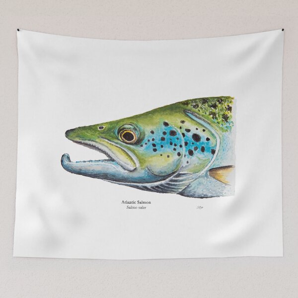 Item preview, Atlantic Salmon Head Painting designed and sold by Stephen Emms.