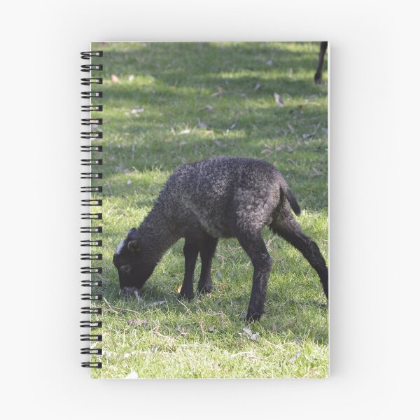 Item preview, Baa Baa Black Sheep designed and sold by Walter Sonny Manser.