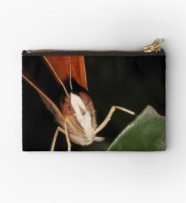 Doleschallia bisaltide Studio Pouch
