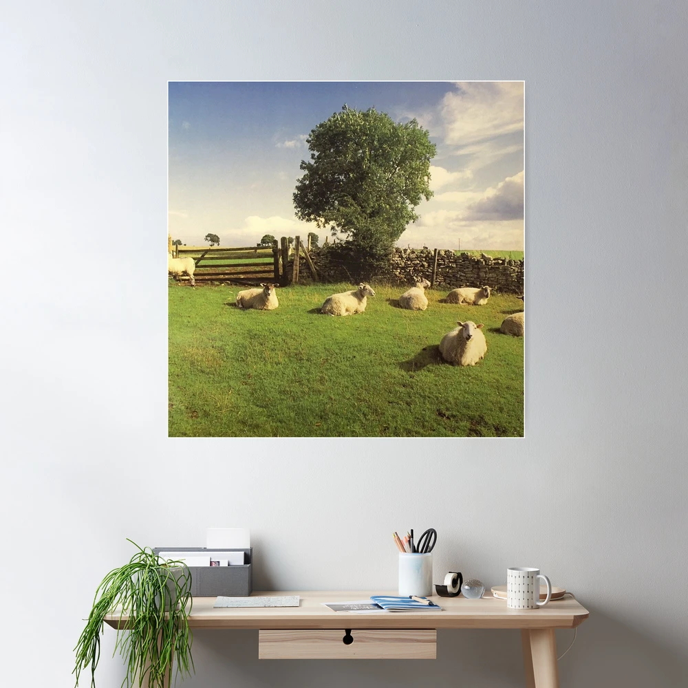 洋楽 THE KLF CHILL OUT AMBIENT HOUSE CLASSICS The KLF – Chill Out – CD (Album, Reissue), [r2760] | Discogs