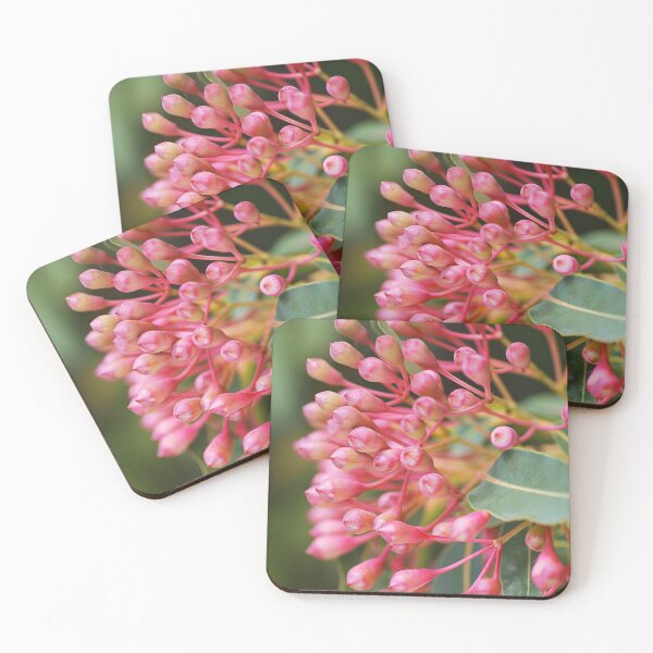 Item preview, Eucalyptus Flower Buds Pink To Red  designed and sold by Joy Watson - Natural Light Photography .