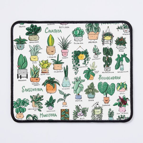 Item preview, Plant Families designed and sold by homebyfaith.