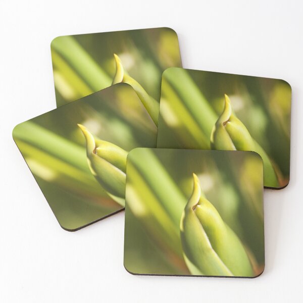 Item preview, Monstera Plant With Fruit  designed and sold by Joy Watson - Natural Light Photography .
