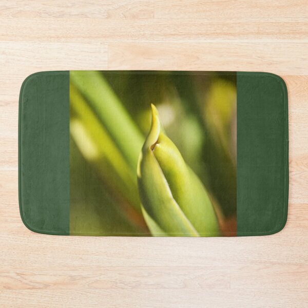 Item preview, Monstera Plant With Fruit  designed and sold by Joy Watson - Natural Light Photography .