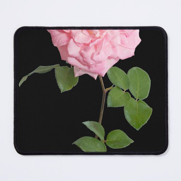 Item preview, beautiful pink rose flower designed and sold by Xippy Art.