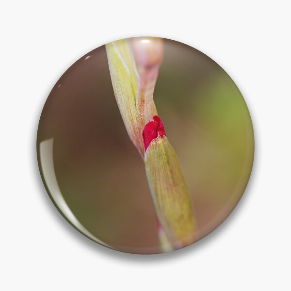 Item preview, Gladioli Flowers Has Lipstick Cases designed and sold by Joy Watson - Natural Light Photography .