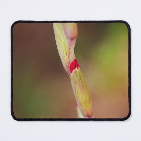 Item preview, Gladioli Flowers Has Lipstick Cases designed and sold by Joy Watson - Natural Light Photography .