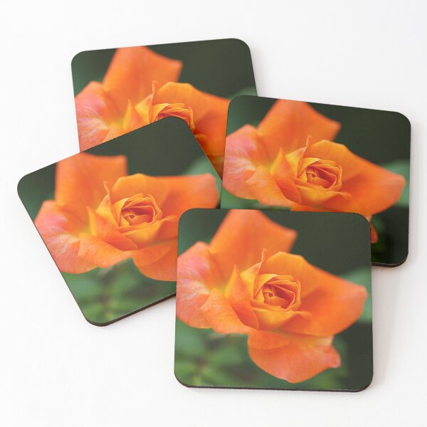 Item preview, Full Orange Bloom designed and sold by Joy Watson - Natural Light Photography .