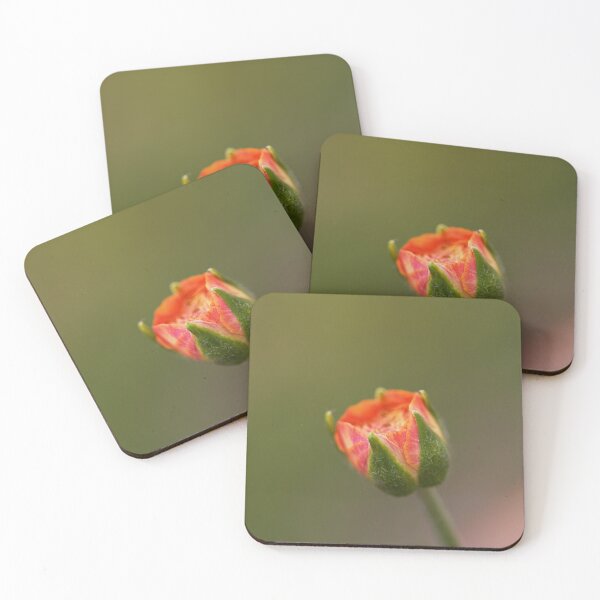 Item preview, One Rose Variegated Bud designed and sold by Joy Watson - Natural Light Photography .