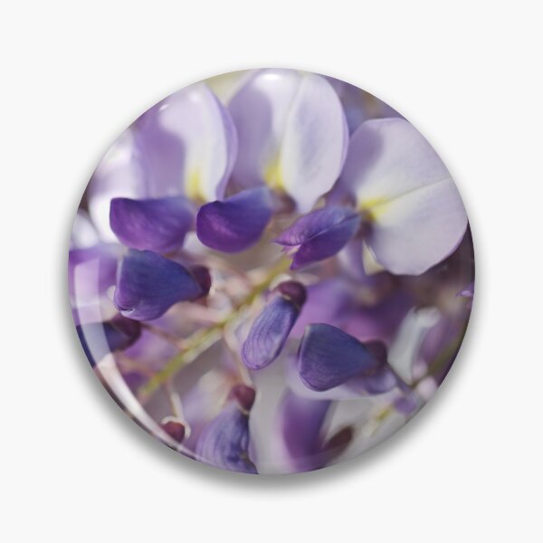 Item preview, Soft Wisteria  designed and sold by Joy Watson - Natural Light Photography .