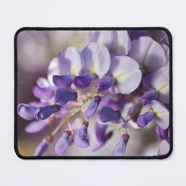 Item preview, Soft Wisteria designed and sold by Joy Watson - Natural Light Photography .