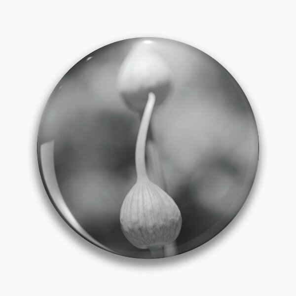 Item preview, Garlic Heads BW designed and sold by Joy Watson - Natural Light Photography .