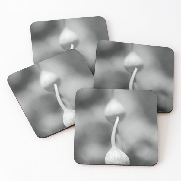 Item preview, Garlic Heads BW designed and sold by Joy Watson - Natural Light Photography .