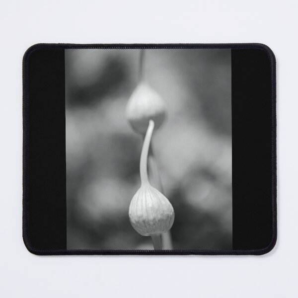 Item preview, Garlic Heads BW designed and sold by Joy Watson - Natural Light Photography .