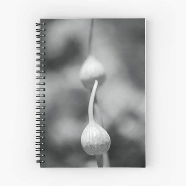 Item preview, Garlic Heads BW designed and sold by Joy Watson - Natural Light Photography .
