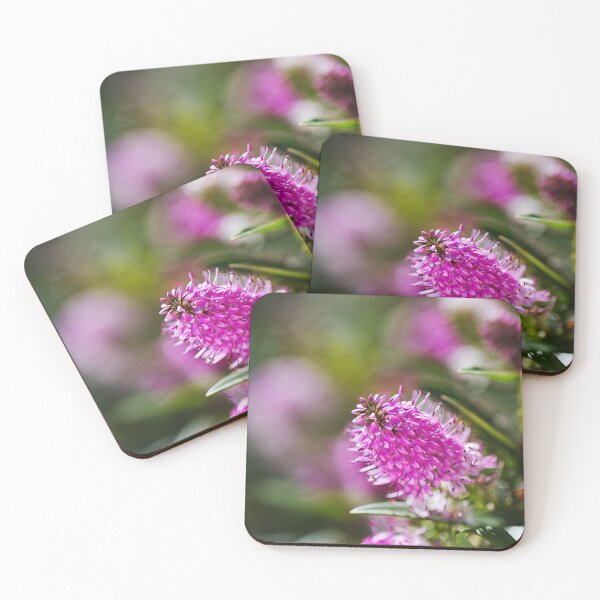 Item preview, Hebe Plant Summer Sun  designed and sold by Joy Watson - Natural Light Photography .
