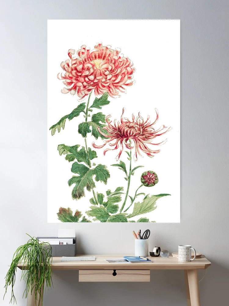 Vintage Japanese Painting of Pink Chrysanthemum Floral