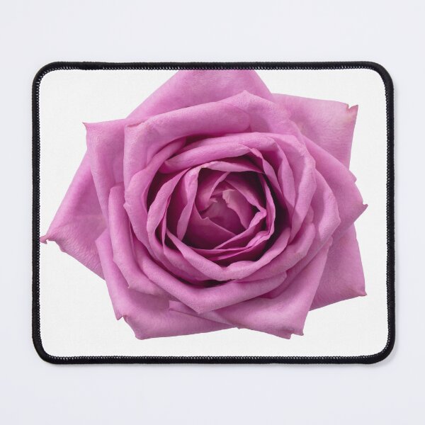 Item preview, beautiful pink rose flower designed and sold by Xippy Art.