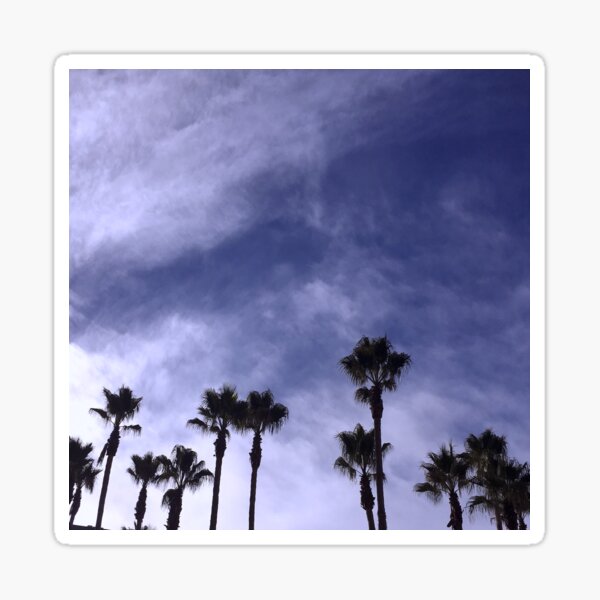 Dark Santa Barbara Palm Trees Sticker