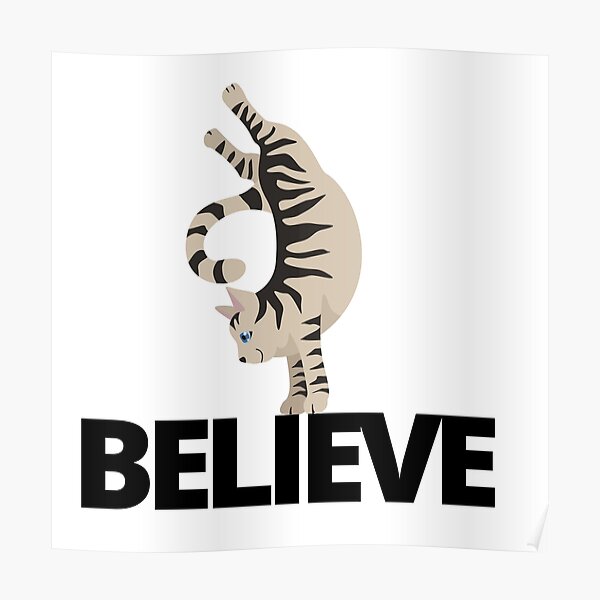 Believe Cat Poster Poster