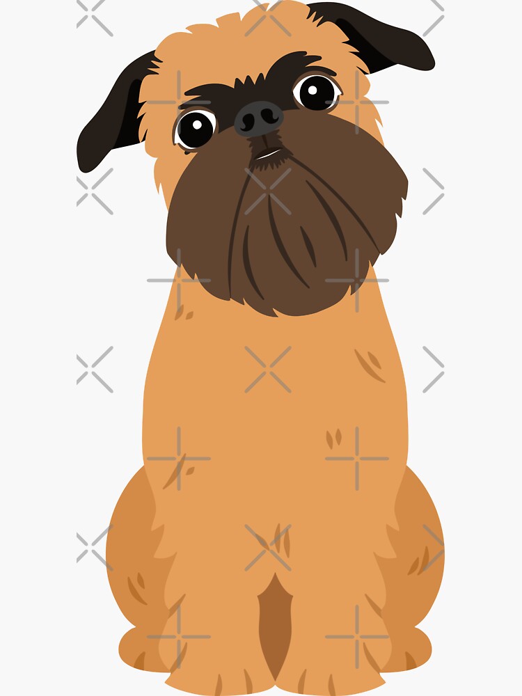 Love Belge Brussels Griffon