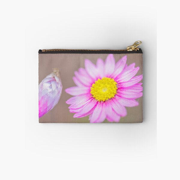 Item preview, Paper Daisy designed and sold by Allport Photography.