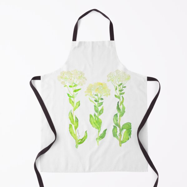 Item preview, Hoary cress /Lepidium draba/ - botanical watercolor artwork designed and sold by magnoliART botanical_kata.
