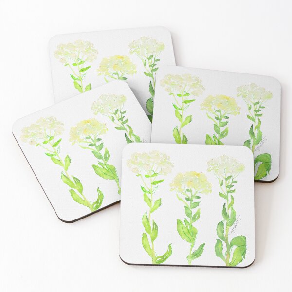 Item preview, Hoary cress /Lepidium draba/ - botanical watercolor artwork designed and sold by magnoliART botanical_kata.