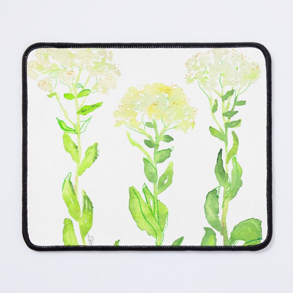 Item preview, Hoary cress /Lepidium draba/ - botanical watercolor artwork designed and sold by magnoliART botanical_kata.