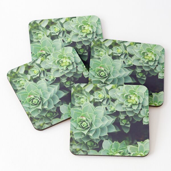 Item preview, Myrtle spurge succulents designed and sold by CarolinaReina.