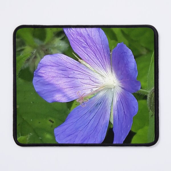 Item preview, Meadow Cranesbill designed and sold by amanda150771.