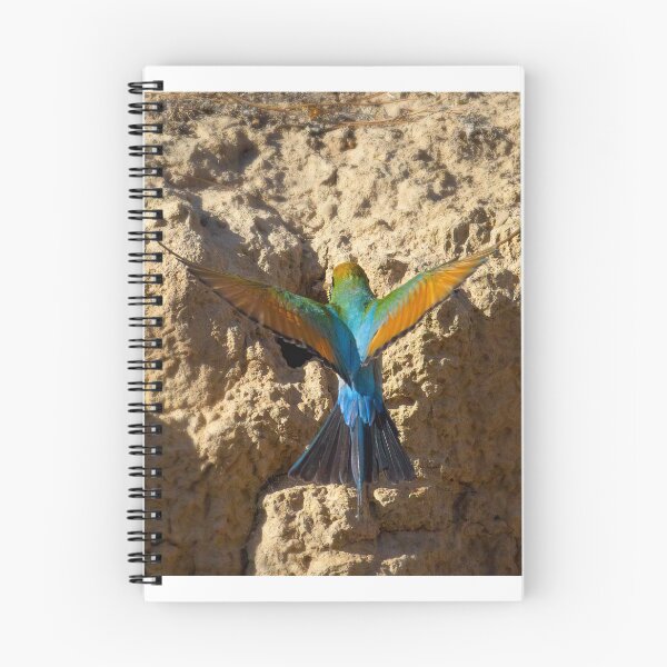 Item preview, Rainbow Bee Eater designed and sold by David  Hibberd.