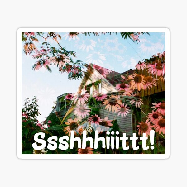 "ssshhhiiittt!" Sticker for Sale by DenOtag | Redbubble
