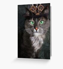 Steampunk Funny Cute Cat 3 Greeting Card
