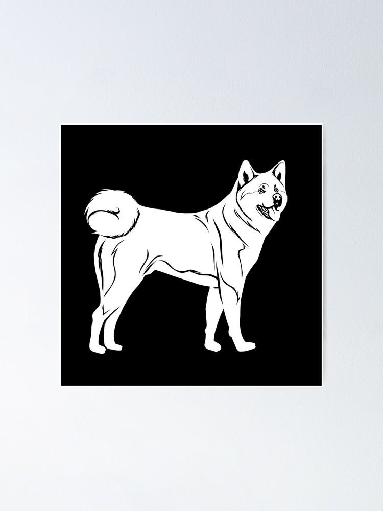 Akita Dog Line Art Premium Vector