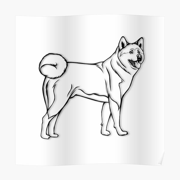 "Akita Dog Line Art Full Body White" Poster for Sale by lineartdesigner