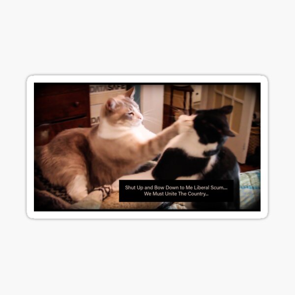 Artikel-Vorschau von Halt die Klappe und verbeuge dich Amerika, designt und verkauft von Bonnie  Follett.