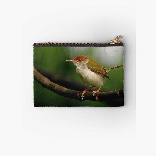Artikelvorschau, Tailorbird - Sri Lanka entworfen und verkauft von clarkdavidw.