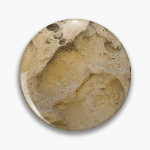 Item preview, Erosion Can be a Beautiful Thing - Freeform Ribs and Shell Fossils designed and sold by Georgia Mizuleva.