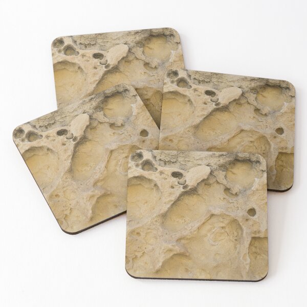 Item preview, Erosion Can be a Beautiful Thing - Freeform Ribs and Shell Fossils designed and sold by Georgia Mizuleva.