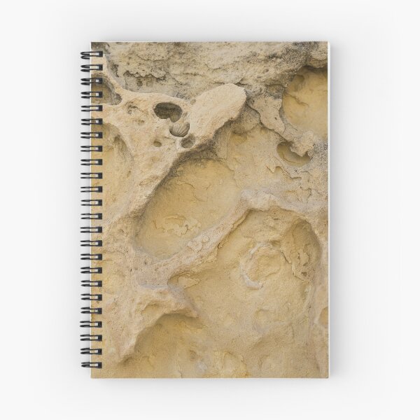 Item preview, Erosion Can be a Beautiful Thing - Freeform Ribs and Shell Fossils designed and sold by Georgia Mizuleva.