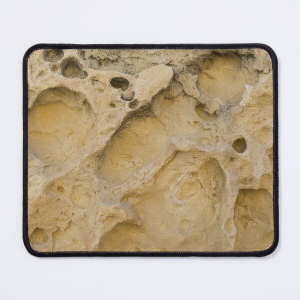 Item preview, Erosion Can be a Beautiful Thing - Freeform Ribs and Shell Fossils designed and sold by Georgia Mizuleva.