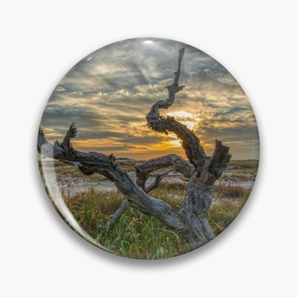 Item preview, Driftwood on Santa Rosa Island designed and sold by Chris Atwell.