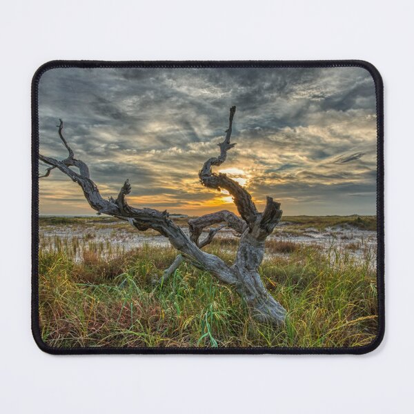 Item preview, Driftwood on Santa Rosa Island designed and sold by Chris Atwell.
