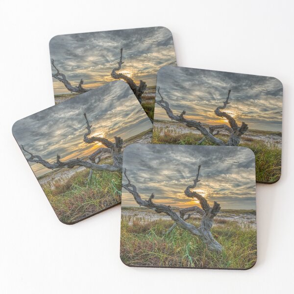 Item preview, Driftwood on Santa Rosa Island designed and sold by Chris Atwell.