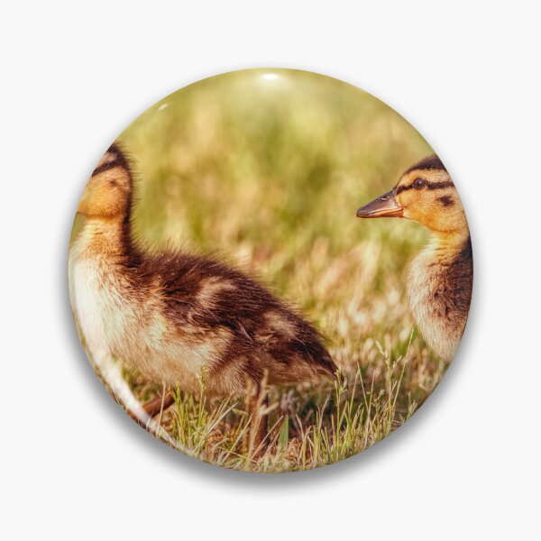 Item preview, Ducklings in the grass designed and sold by Chris Atwell.
