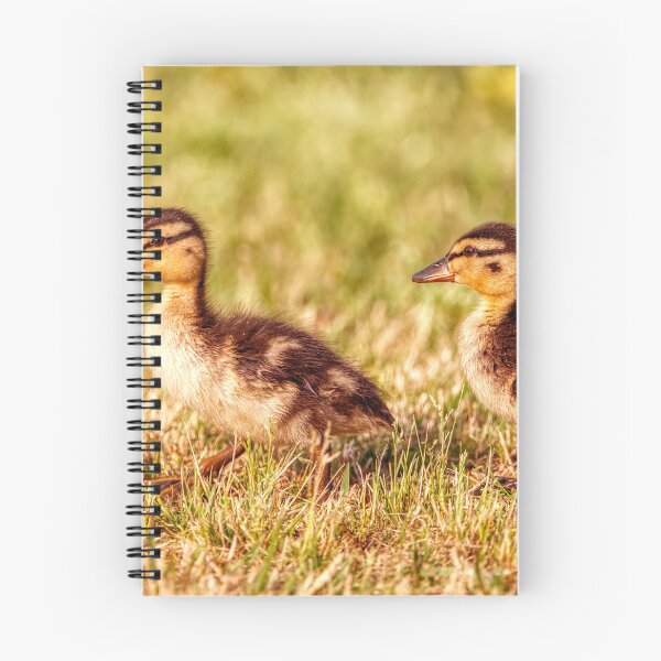 Item preview, Ducklings in the grass designed and sold by Chris Atwell.