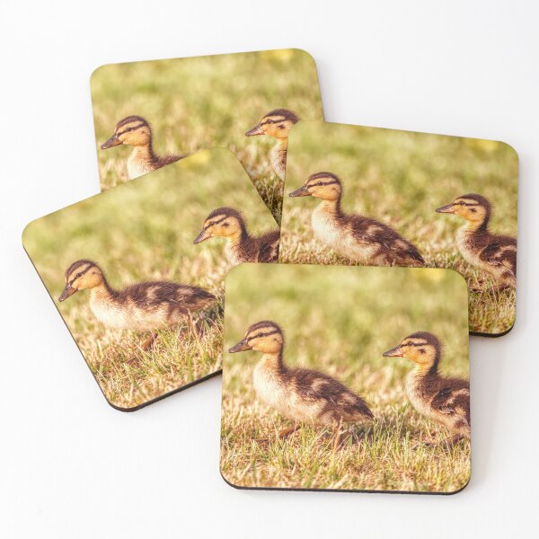 Item preview, Ducklings in the grass designed and sold by Chris Atwell.