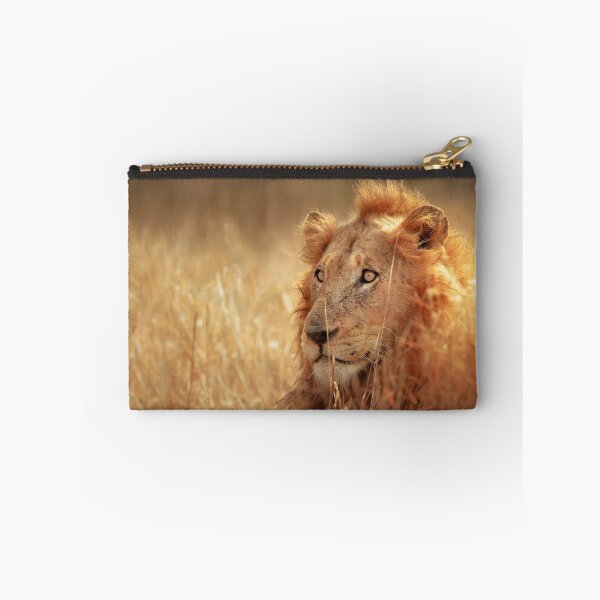 Item preview, Lion in grassland designed and sold by Johan Swanepoel.